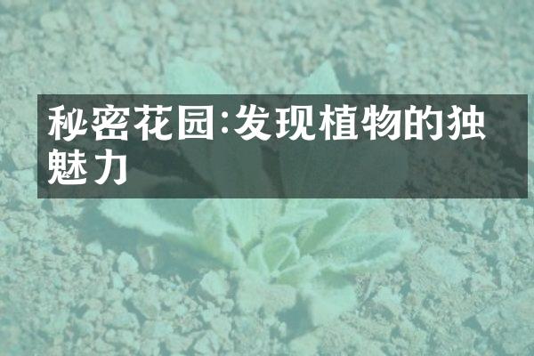 秘密花园:发现植物的独特魅力