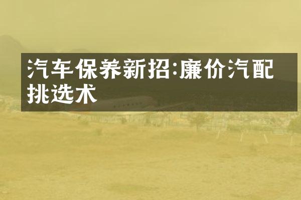 汽车保养新招:廉价汽配件挑选术