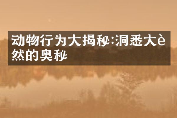 动物行为大揭秘:洞悉大自然的奥秘