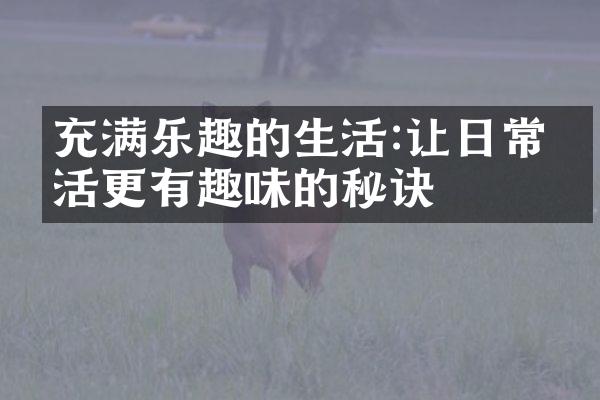 充满乐趣的生活:让日常生活更有趣味的秘诀