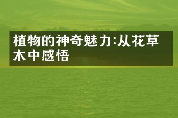 植物的神奇魅力:从花草树木中感悟