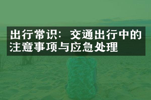 出行常识：交通出行中的注意事项与应急处理