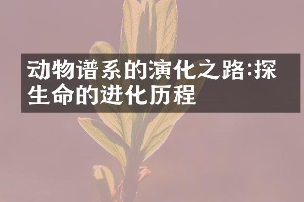 动物谱系的演化之路:探索生命的进化历程