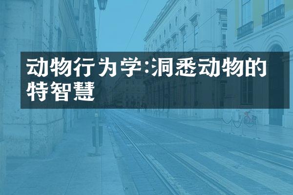 动物行为学:洞悉动物的独特智慧