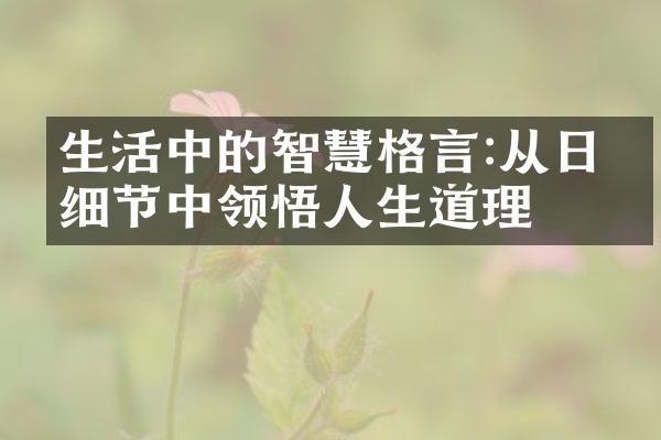 生活中的智慧格言:从日常细节中领悟人生道理