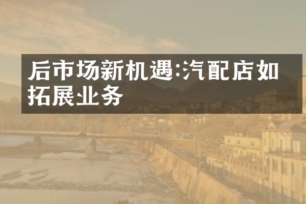 后市场新机遇:汽配店如何拓展业务