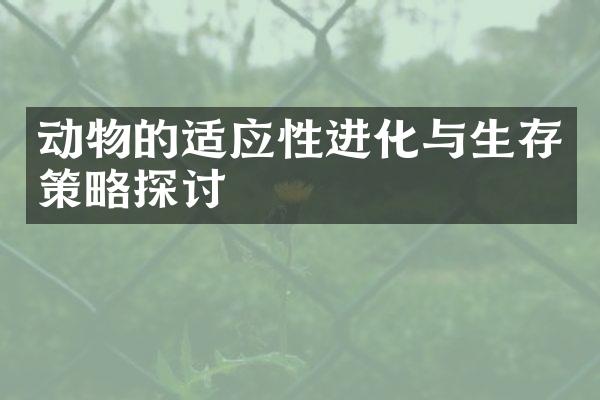 动物的适应性进化与生存策略探讨