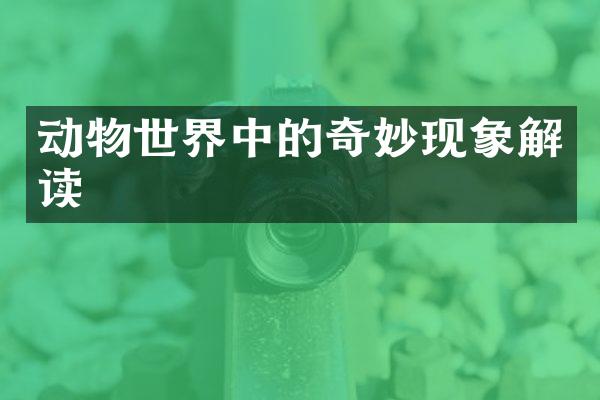动物世界中的奇妙现象解读