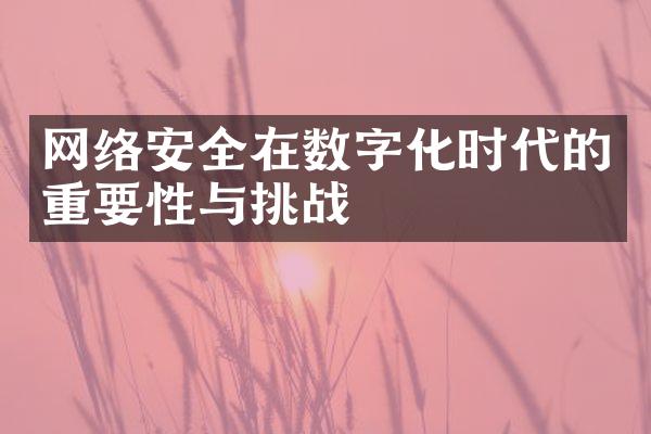 网络安全在数字化时代的重要性与挑战