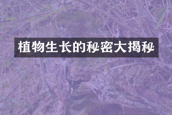 植物生长的秘密大揭秘