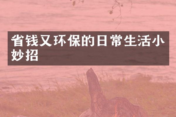 省钱又环保的日常生活小妙招