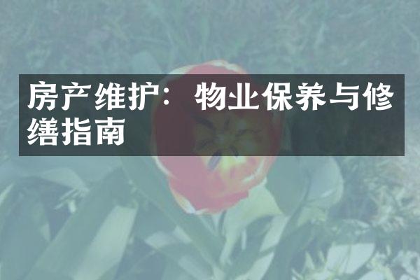 房产维护：物业保养与修缮指南