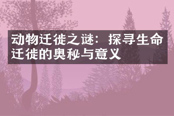 动物迁徙之谜：探寻生命迁徙的奥秘与意义