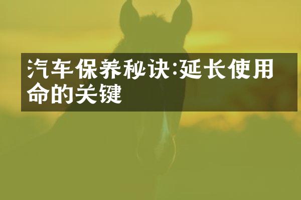 汽车保养秘诀:延长使用寿命的关键