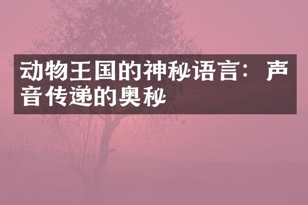 动物王国的神秘语言：声音传递的奥秘