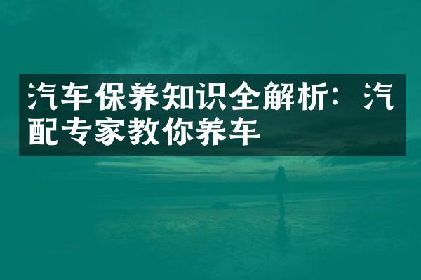 汽车保养知识全解析：汽配专家教你养车