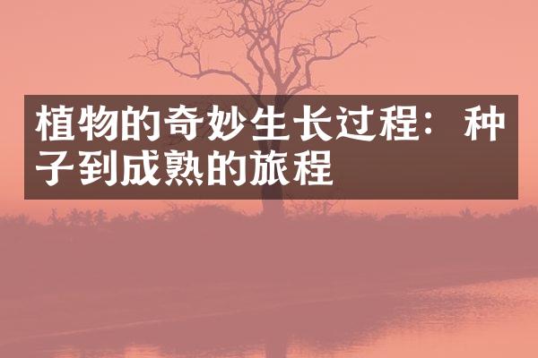 植物的奇妙生长过程：种子到成熟的旅程