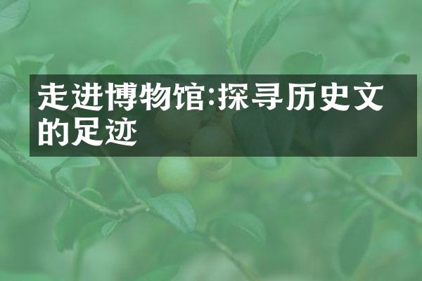 走进博物馆:探寻历史文明的足迹