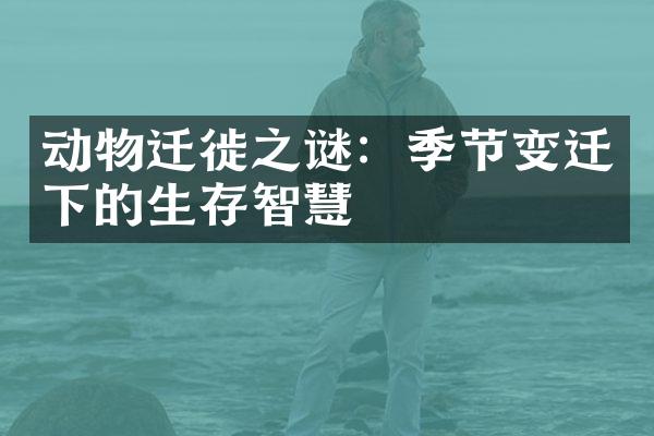 动物迁徙之谜：季节变迁下的生存智慧