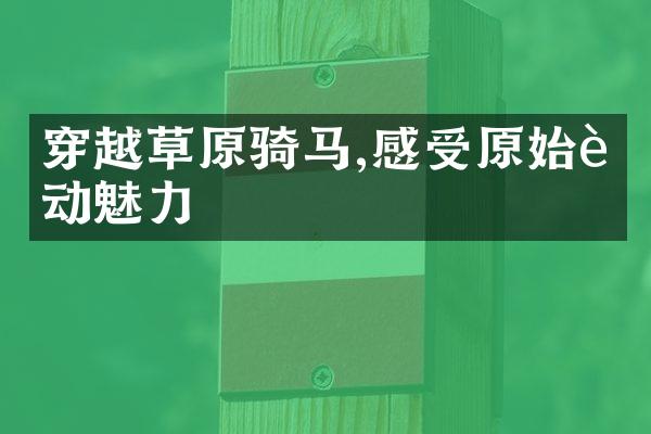 穿越草原骑马,感受原始运动魅力