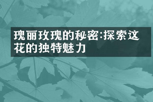 瑰丽玫瑰的秘密:探索这朵花的独特魅力