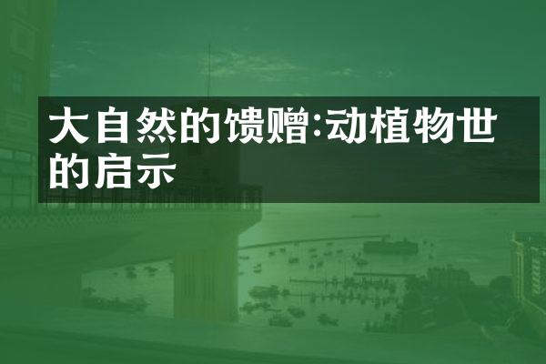 大自然的馈赠:动植物世界的启示