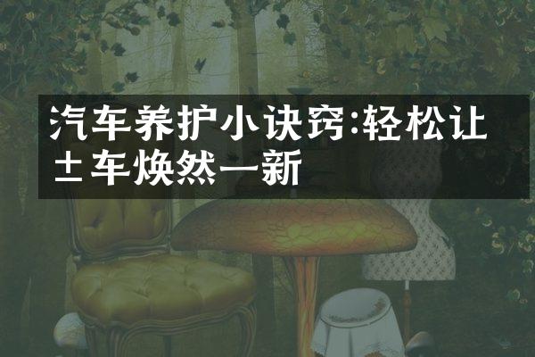 汽车养护小诀窍:轻松让爱车焕然一新