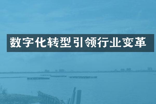 数字化转型引领行业变革