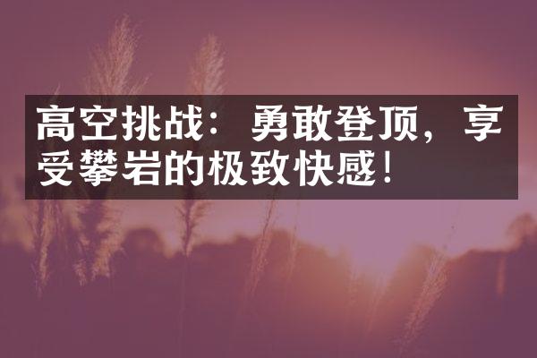 高空挑战：勇敢登顶，享受攀岩的极致快感！