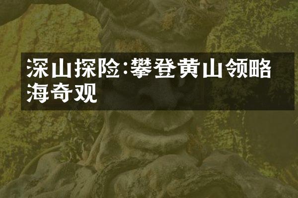 深山探险:攀登黄山领略云海奇观