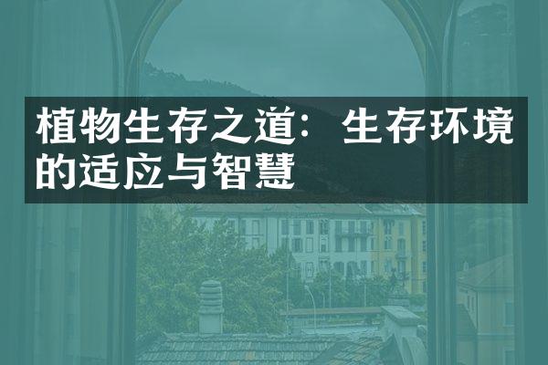 植物生存之道：生存环境的适应与智慧