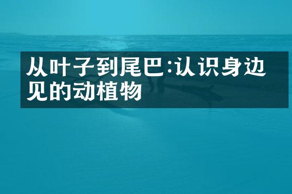 从叶子到尾巴:认识身边常见的动植物