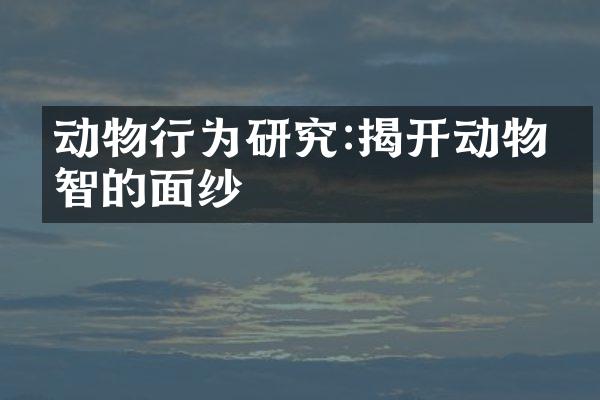 动物行为研究:揭开动物心智的面纱
