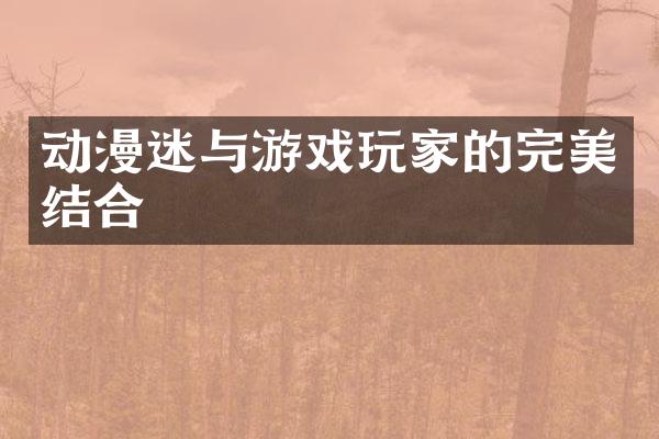 动漫迷与游戏玩家的完美结合
