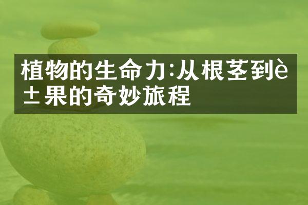 植物的生命力:从根茎到花果的奇妙旅程