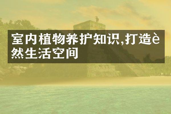 室内植物养护知识,打造自然生活空间
