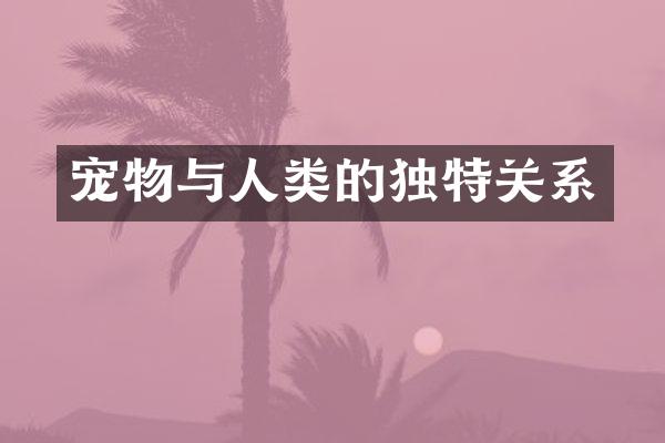 宠物与人类的独特关系
