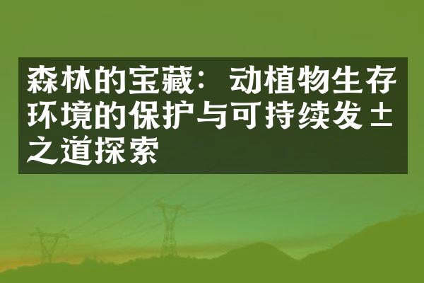 森林的宝藏：动植物生存环境的保护与可持续发展之道探索