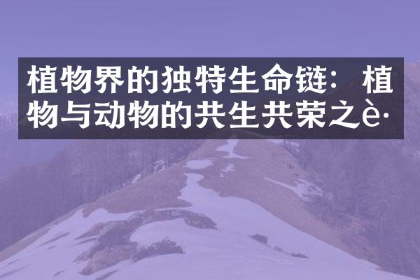 植物界的独特生命链：植物与动物的共生共荣之路