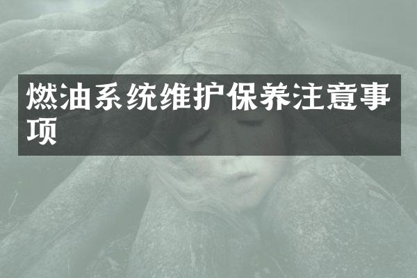 燃油系统维护保养注意事项