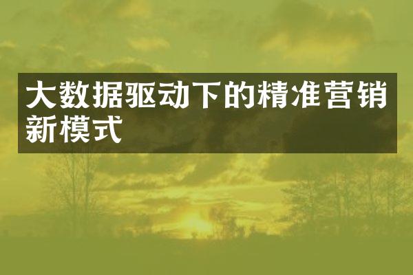 大数据驱动下的精准营销新模式