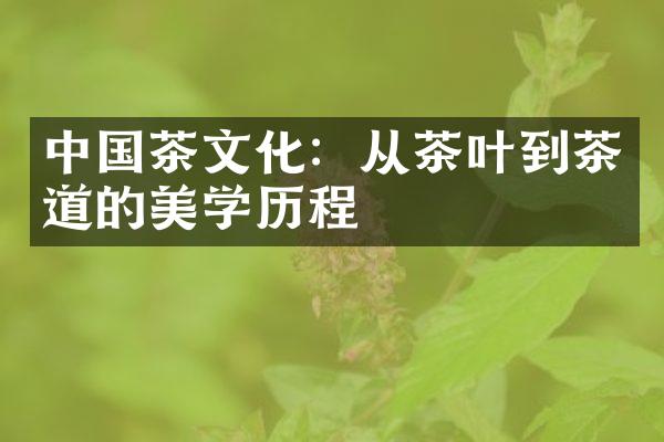 中国茶文化：从茶叶到茶道的美学历程