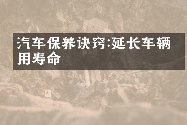 汽车保养诀窍:延长车辆使用寿命
