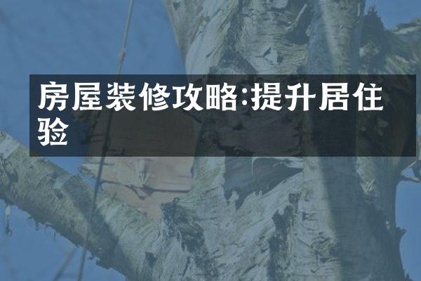 房屋装修攻略:提升居住体验