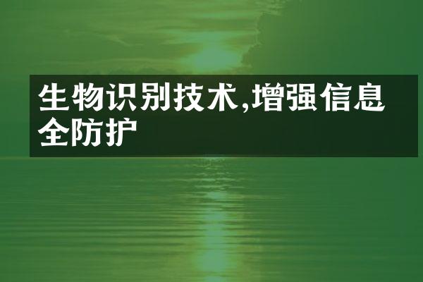 生物识别技术,增强信息安全防护