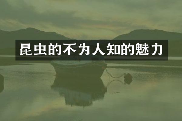 昆虫的不为人知的魅力