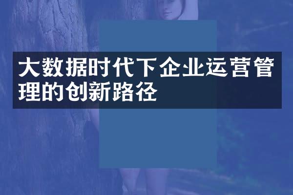 大数据时代下企业运营管理的创新路径