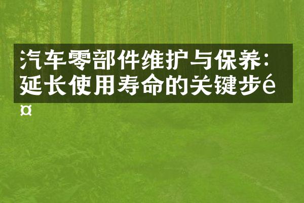 汽车零部件维护与保养：延长使用寿命的关键步骤