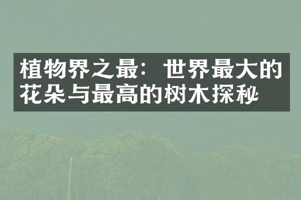 植物界之最：世界最大的花朵与最高的树木探秘