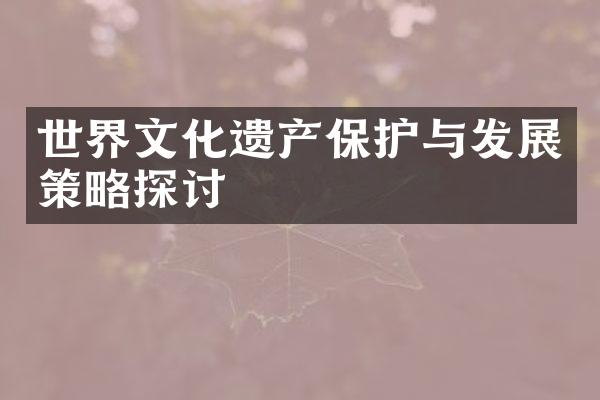 世界文化遗产保护与发展策略探讨